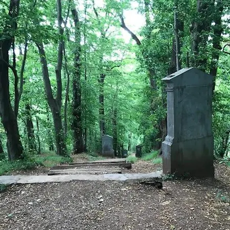 Terrasses De Triplex 224 Le Cerf Blanc Appartement *
